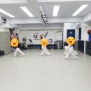 TS국가대표MVP태권도장 이미지