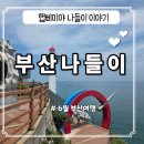 [나들이] 6월 부산 당일여행 후기... (먹거리,볼거리)