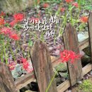지나는길에 네이버블로그