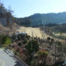 삼삼컨트리클럽 이미지