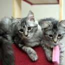 일등학원 이미지