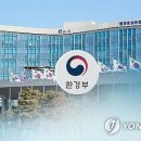 디에스21 이미지