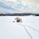 김영근 농장 이미지