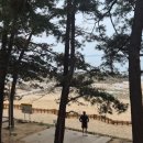 [캠핑]꾸지나무골해변캠핑장A2사이트_250602-3