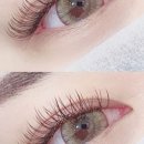 뷰티온니(beauty only)