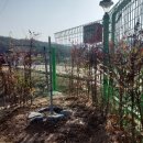 효원농장 이미지