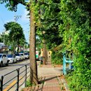 버스정류장_천주교사거리 이미지