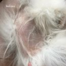 두카메디컬센터 이미지