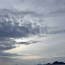 섬이야기민박 | 나혼자세토우치4_충격, 토모노우라만 좋은 게 아니었다 (칸논, 신소지, 무카이시마)