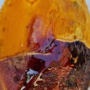 달콤하고 귀한 호박고구마 이미지