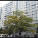 의료법인 효원의료재단 네이버블로그