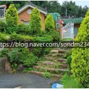 마산랜드부동산 현동공인중개사사무소 | No.[매도단-구산-62]-창원시 마산합포구 구산면 반동리 깨끗한 단독주택 매매 안내 합니다.