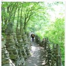 바우길 17구간 이미지