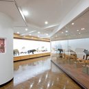 동물의왕국 동물병원 | 경희대학교 자연사박물관 완벽 가이드: 2026년 예약부터 주차까지 실전 관람 후기