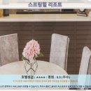 스프링힐 | 카메론 하일렌즈 여행 후기: 스프링힐 리조트 추천