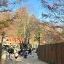 월드밸리 | [용인 에버랜드] 리버 트레일 어드벤처(로스트 밸리) &amp; 사파리 월드 이용 후기