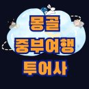 리더스투어여행사 | 6월 중순 달없는 날 몽골여행가기 투어업체 정하기(리더스투어)