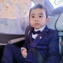 보성익스프레스 이미지