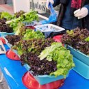 쌍학리 효열각 이미지