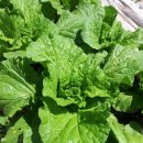 이경농장 이미지