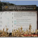 항촌소공원 이미지