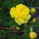 삶의 보람 이미지