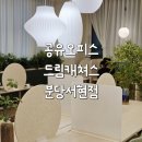 딱이야 오피스 | 분당공유오피스 드림캐쳐스 서현점 오픈데스크 후기 집중하기 딱 좋았어요