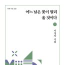 서성자 시조집 『어느 날은 꽃이 멀리 울 것이다』 (2026. 7. 가히) 이미지