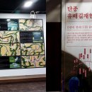 단종 어수정 이미지