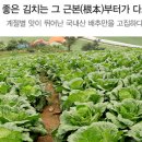 (주)대한에프앤에스 이미지