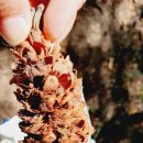 영등근린공원 이미지