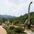 비슬산둘레길 11구간 이미지