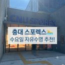 수요일 | 충남대 스포렉스 수영장 자유수영 후기 | 수요일 방문이 좋은 이유