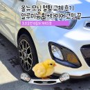 196-2-000061 | 모닝 철휠 교체 후기 중고 알루미늄 휠과 타이어 교체 비용 고민 끝