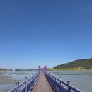 안좌 | 보랏빛 퍼플 섬을 아시나요?^^