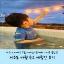애월 안(安) | 아기랑 제주도 여행 애월 숙소 추천(애월안, 내돈내산)