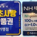 날아라홍돼지 네이버블로그