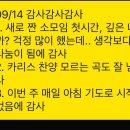 처갓집양념치킨 방어진점 이미지