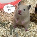 6月