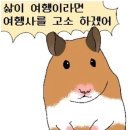 광주 (02.28~03.01)