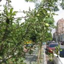 화곡로 63길 이미지