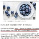 장*석 - 안양시 만안구 양화로147번길 | 장에 좋은 음식 석 달 복용, 배가 편해진 후기