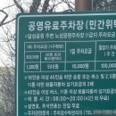 달성공원 | 대구 아기랑 달성공원 주말 나들이 후기 정보 위치 및 주차