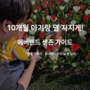 포켓애니멀 | 아기랑 에버랜드 튤립축제 &amp; 워킹사파리: 유모차 동선, 수유실 위치, 준비물 등 후기