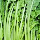 대성야채청과 이미지