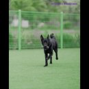 루카스독트레이닝 이미지