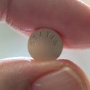 MUSCLE FLOW 이미지