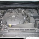 럭셔리광택 이미지