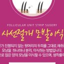 자인헤어# 이미지