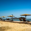 대광해수욕장 이미지